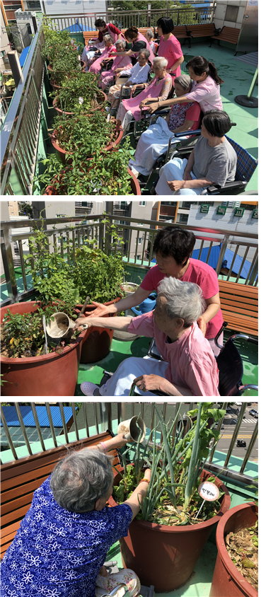 [자비의집] 특화프로그램 - 옥상 텃밭 가꾸기