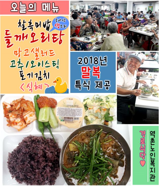 [구립역촌노인복지관]  2018년 말복맞이 특식 제공