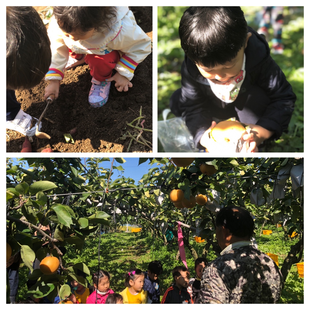 다솔어린이집 가을 소풍 농장체험 다여왔습니다.