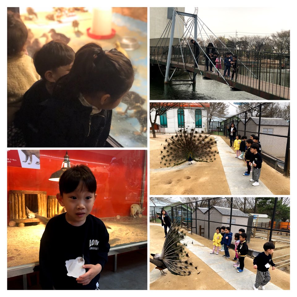 [법인 다솔어린이집] 봄나들이 동물원 다녀왔어요.