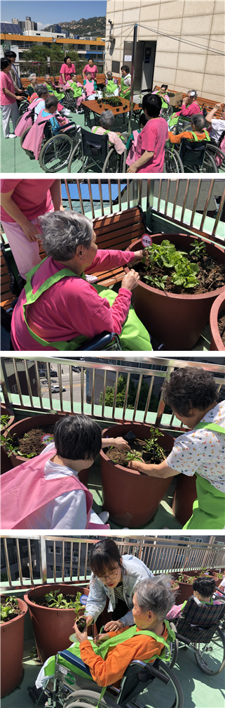 [자비의집] 특화프로그램 - 옥상 텃밭 가꾸기