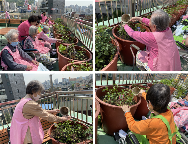 [자비의집] 특화프로그램 - 옥상 텃밭 가꾸기