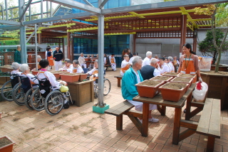 [인덕원] 특화프로그램 텃밭 가꾸기