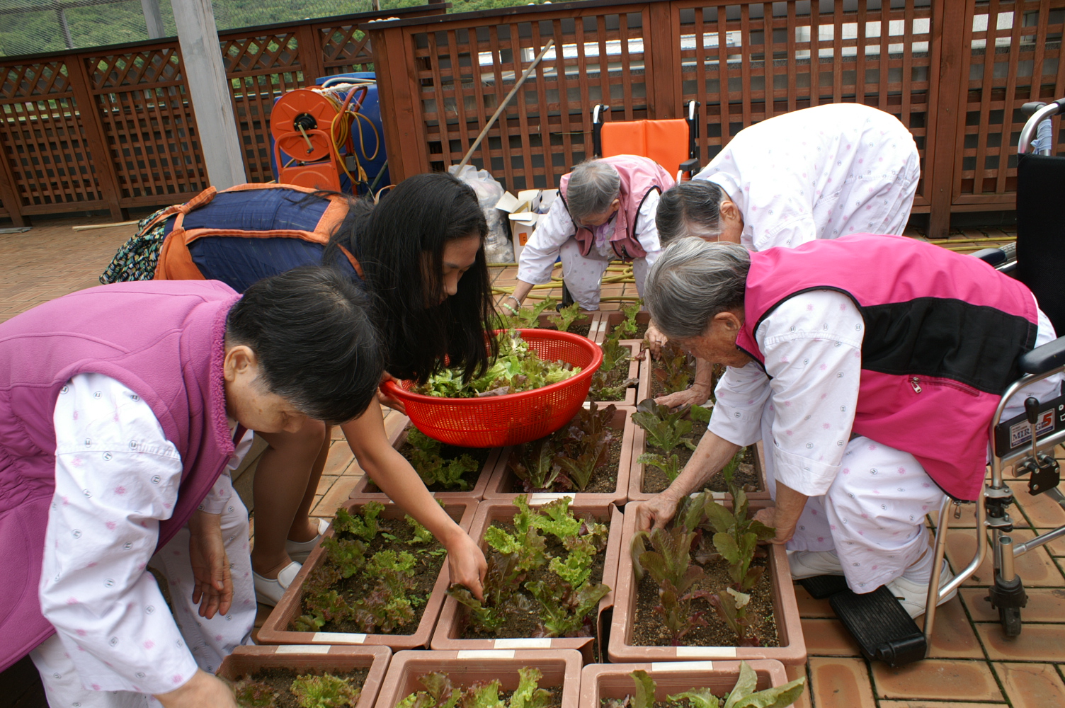 [인덕원] 하늘공원 산책