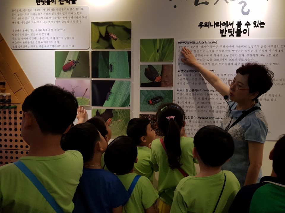 〔개나리어린이집〕 반딧불이 체험